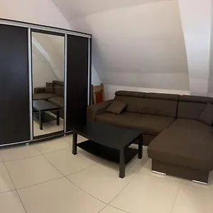 Апартаменты Chez Ana, Отопени